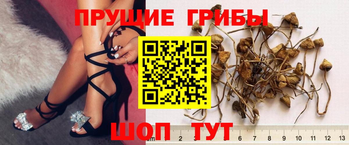 Псилоцибиновые грибы MAGIC MUSHROOMS Кудымкар