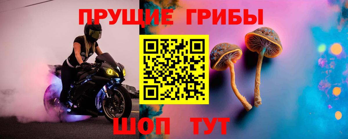 сколько стоит  Вход с VPN  Кудымкар  Галлюциногенные грибы Magic Shrooms 